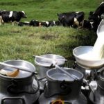 Cogancevalle impulsa el Segundo Foro Lechero