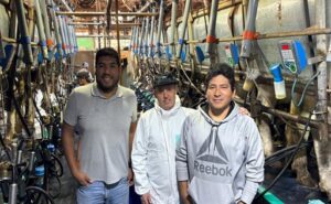 Cómo Punta de Perú mejora sus indicadores productivos y reproductivos