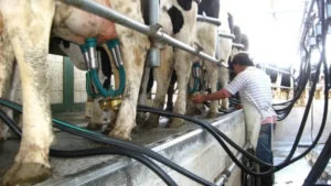 Consumo de leche en Argentina muestra una recuperación progresiva
