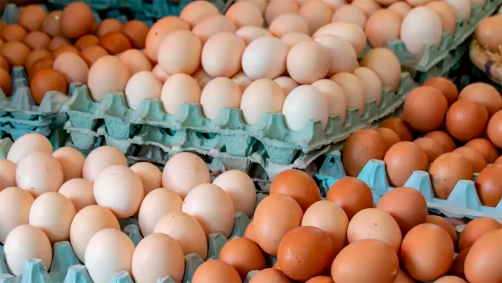 Consumo récord el huevo desplace a la leche en Argentina