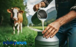 Crisis de la Leche en Brasil Entre el Dolor de los Productores y Estructuras que No Cambiarán