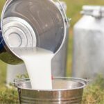 Cundinamarca se consolida como segundo productor lechero de Colombia