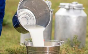 Cundinamarca se consolida como segundo productor lechero de Colombia