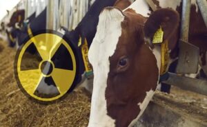 Del laboratorio al potrero: la energía nuclear llega a las vacas colombianas