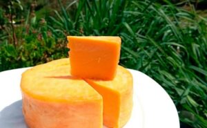 El queso que no necesita refrigeración conquista al mundo