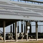 Grupo lácteo cordobés pionero en medir su huella de carbono 2 Grupo lácteo local es pionero en medición de huella de carbono