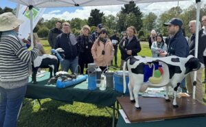 Investigación chilena la lechería se expone en la Cumbre Mundial del Leche