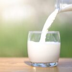 Lactosa mucho más que un azúcar de la leche