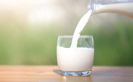 Lactosa mucho más que un azúcar de la leche