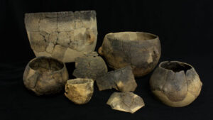 Leche hace 7.000 años
