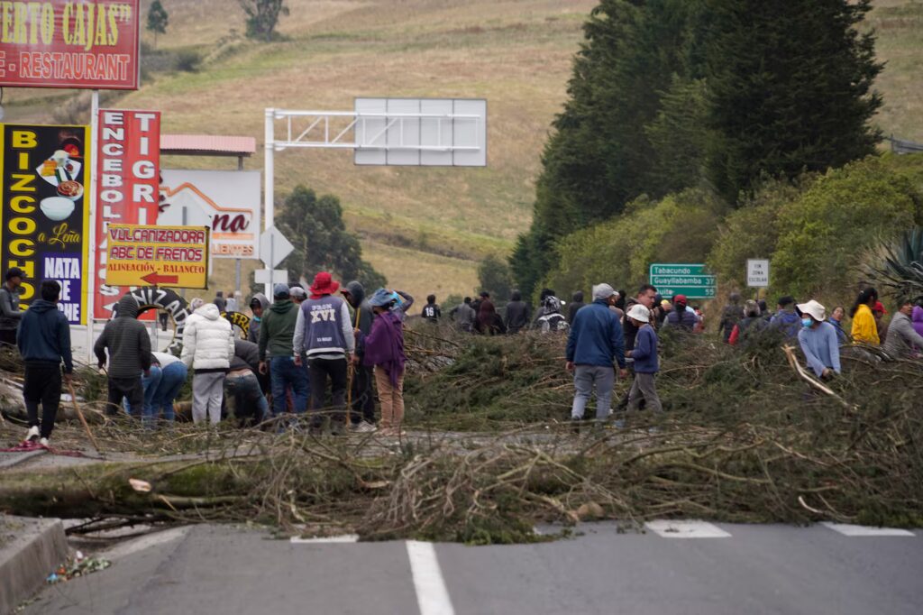 Lechería ecuatoriana pierde 2 millones de litros por paro