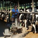 Lechería intensiva el ABC para mejorar eficiencia y productividad