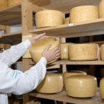 Numerosos premios en la 14ª Cata de Quesos y Sabores de Tandil