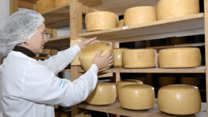 Numerosos premios en la 14ª Cata de Quesos y Sabores de Tandil