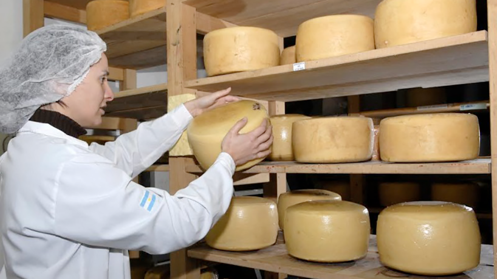 Numerosos premios en la 14ª Cata de Quesos y Sabores de Tandil