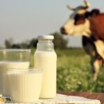 Nutricionista revela cuántos lácteos consumir al día