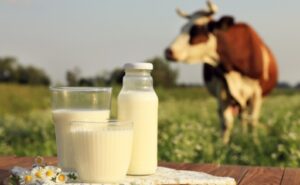 Nutricionista revela cuántos lácteos consumir al día