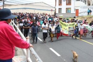 Paralizaciones generan pérdidas millonarias en sector lácteo de Ecuador