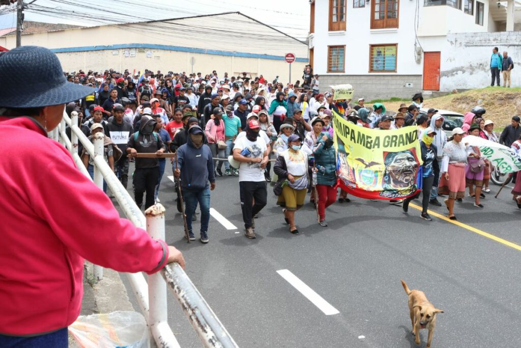 Paralizaciones generan pérdidas millonarias en sector lácteo de Ecuador