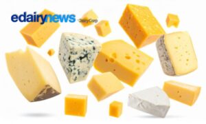 Por qué existen tantos tipos de queso