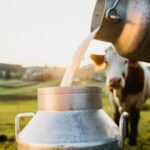 Precio de la leche cruda baja por tercer mes consecutivo en Galicia