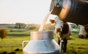 Precio de la leche cruda baja por tercer mes consecutivo en Galicia