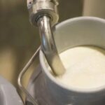 Precio récord de la leche en Córdoba y Sucre, pero la industria acopia menos 1 Precio récord de la leche en Córdoba y Sucre, pero la industria acopia menos