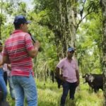 Productores del Cauca