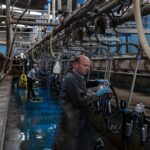 Una fábrica irlandesa prosperó con los bebés chinos, pero Nestlé la cerró