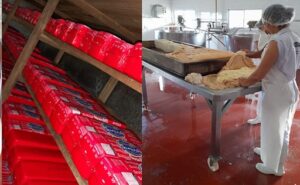 250 km diarios para recolectar leche