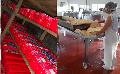 250 km diarios para recolectar leche