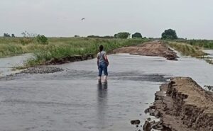 Andrea Passerini tuvo que comprar 500 toneladas de piedras para rellenar los accesos a su tambo y que no colapse