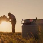 Asturias destina 217 000 para asesorar 873 explotaciones lácteas