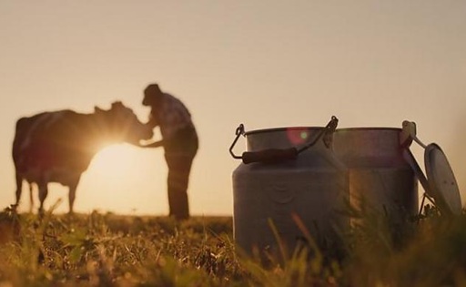 Asturias destina 217 000 para asesorar 873 explotaciones lácteas