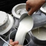 Bolivia paraliza el tratamiento del proyecto de ley de la leche