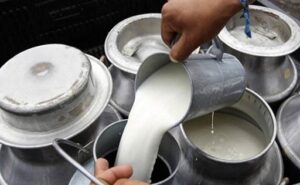 Bolivia paraliza el tratamiento del proyecto de ley de la leche