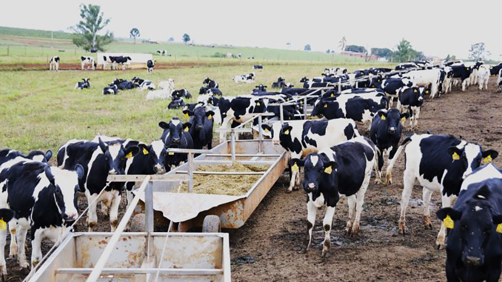 Brasil importa leche pese a tener producción suficiente