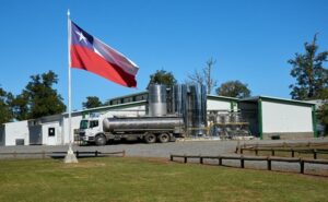 Cooperativa del sur impulsa bienestar anima