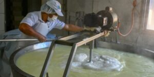 De un viejo Falcon a una planta modelo la lechería que florece en Misiones