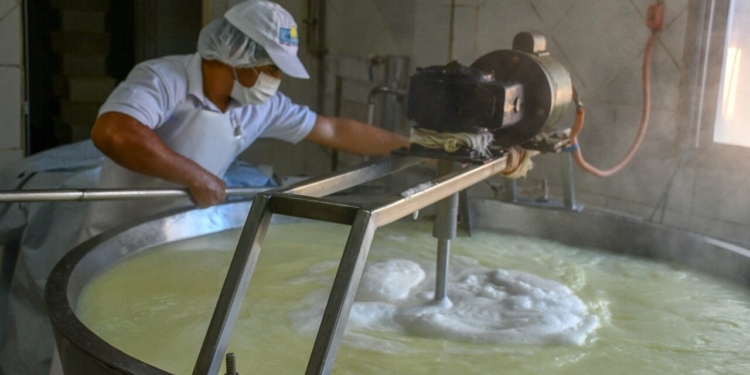 De un viejo Falcon a una planta modelo la lechería que florece en Misiones