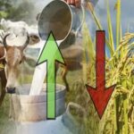 El agro repunta en Colombia y la leche vuelve a traccionar la economía
