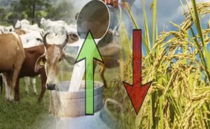El agro repunta en Colombia y la leche vuelve a traccionar la economía