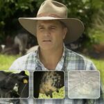 El pionero de la leche A2 en Colombia