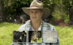 El pionero de la leche A2 en Colombia