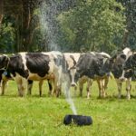 En Chile, la recepción nacional de leche cruda acumula un alza de 8,3 % al mes de agosto 2 En Chile, la recepción nacional de leche cruda acumula un alza de 8,3 % al mes de agosto