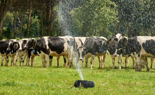 En Chile, la recepción nacional de leche cruda acumula un alza de 8,3 % al mes de agosto