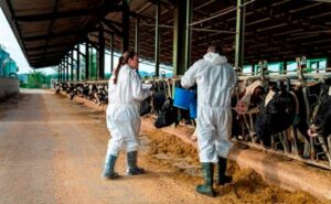 España piden aliviar restricciones por DNC