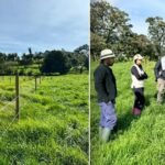 Finca Verdum, modelo de lechería sostenible en Antioquia