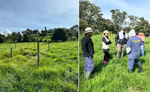 Finca Verdum, modelo de lechería sostenible en Antioquia