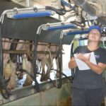 Innovación y eficiencia: tecnologías impulsan la lechería argentina 2 Innovación y eficiencia tecnologías impulsan la lechería argentina